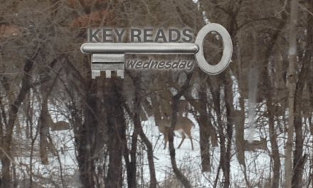 Key Reads – Wednesday, November 29, 2023