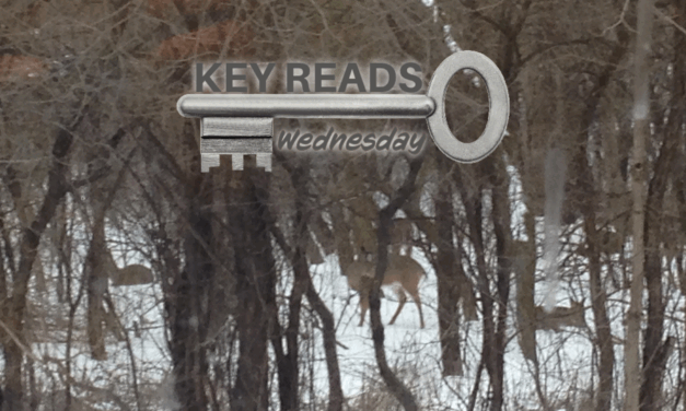 Key Reads, Wednesday, November 26, 2025