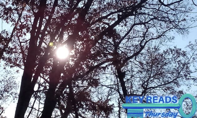 Key Reads – Thursday, November 30, 2023