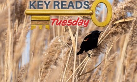 Key Reads – Tuesday, December 12, 2023