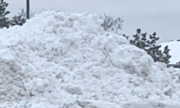 January 1979 snowstorms clobbered the state