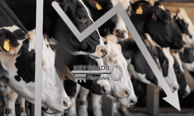 Key Reads – Thursday, February 15, 2024