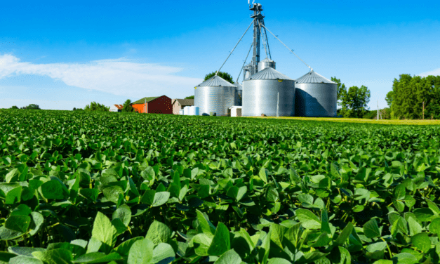 Soybeans rise as a cash crop in Wisconsin