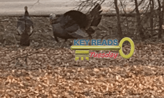 Key Wisconsin Reads | Tuesday, March 4, 2025