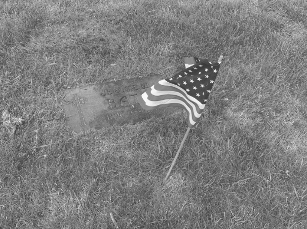 Urgent call from DVA:  Volunteers needed to place flags at grave sites at Wood National Cemetery
