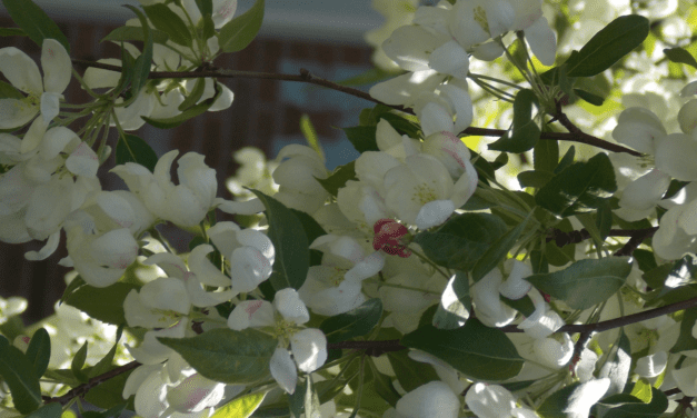 Key Reads -Tuesday, May 28, 2024