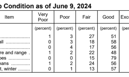 USDA: Crop Progress & Condition – June 10, 2024