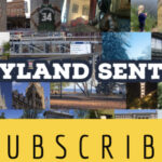 Free Wisconsin Newsletter