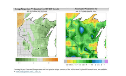 Crop Report from USDA for July 29, 2024