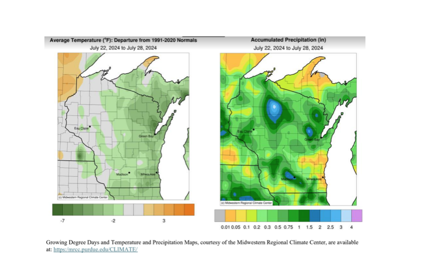 Crop Report from USDA for July 29, 2024