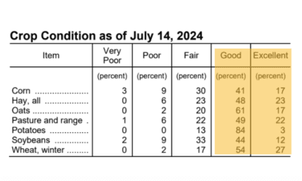 USDA – Wisconsin Crop Progress and Condition for July 15, 2024