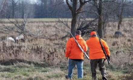 DNR is seeking volunteer hunter education instructors ahead of fall deer hunting