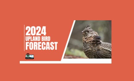 2024 Upland Bird Forecast