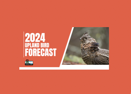 2024 Upland Bird Forecast