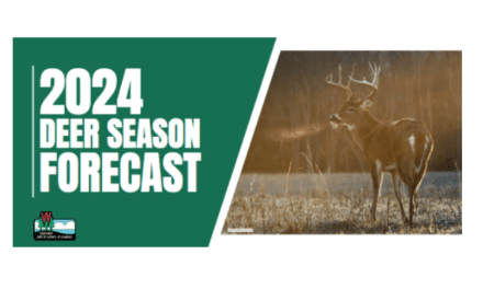 2024 Deer Season Forecast