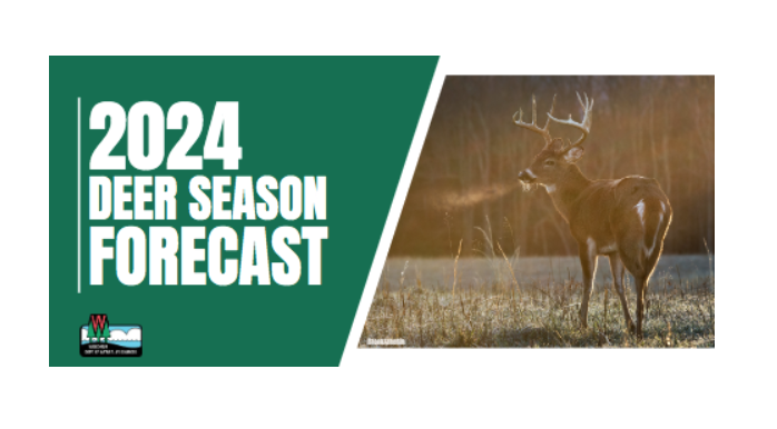 2024 Deer Season Forecast