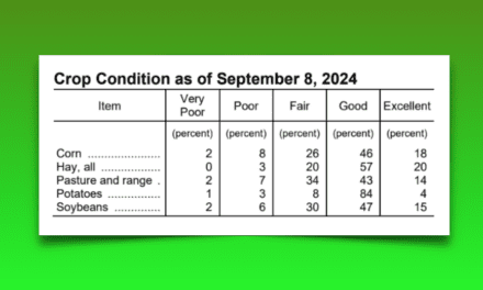 Wisconsin Crop Report from USDA for September 9, 2024