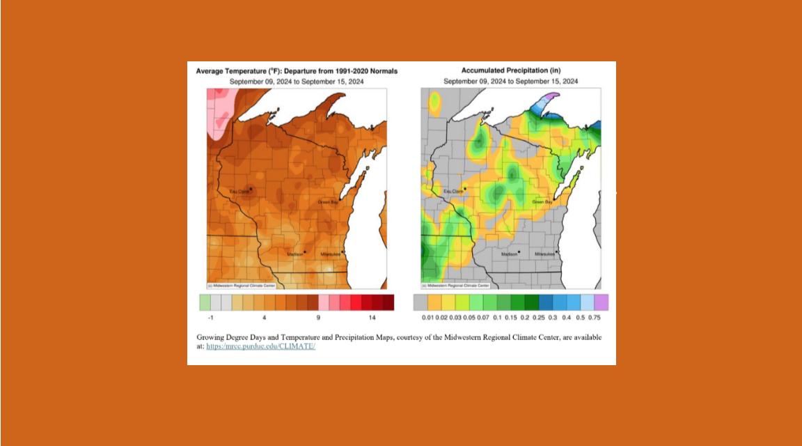 Wisconsin Crop Progress and Condition from USDA 9/16/24