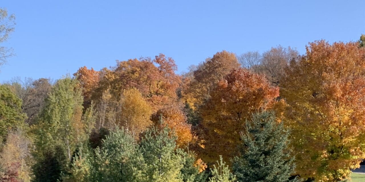 Updated Wisconsin Fall Color Report