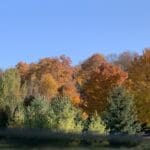 Updated Wisconsin Fall Color Report