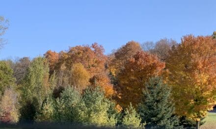 Updated Wisconsin Fall Color Report