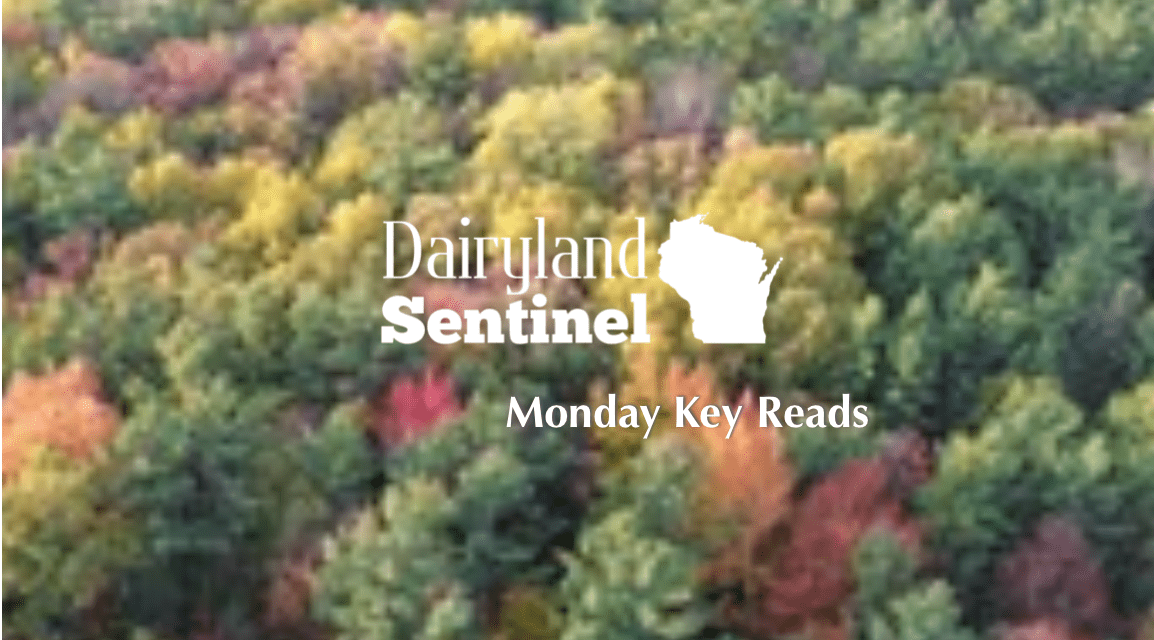 Key Reads – Monday, October 7, 2024