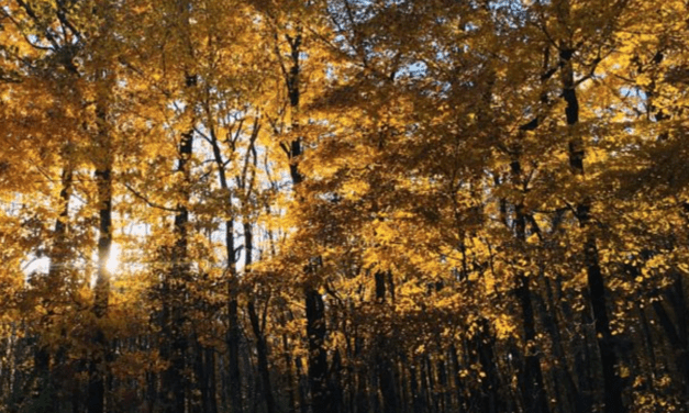 Explore Wisconsin State Parks and Forests by Candlelight This Fall