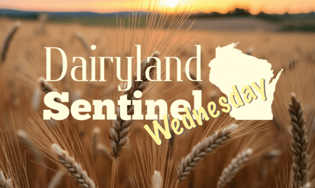 Wisconsin Key Reads – Wednesday, October 16, 2024