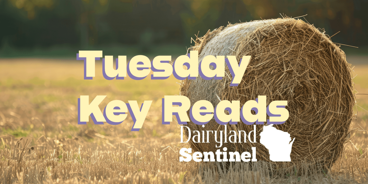 Wisconsin Key Reads | Tuesday, November 19, 2024