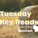 Wisconsin Key Reads | Tuesday, November 19, 2024