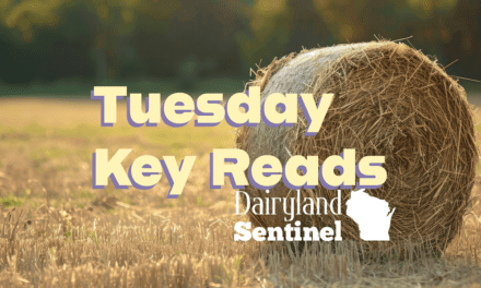 Wisconsin Key Reads | Tuesday, November 19, 2024