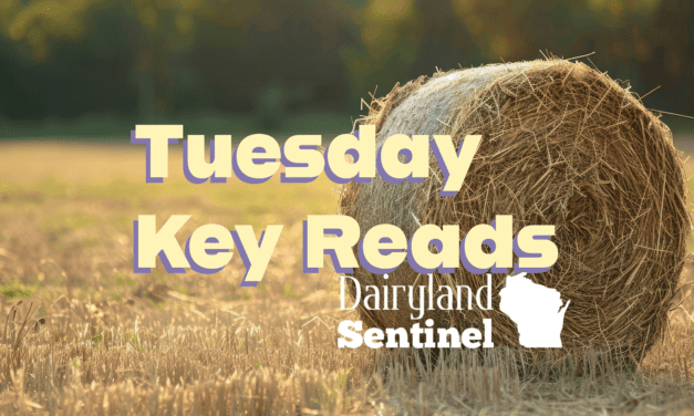 Wisconsin Key Reads | Tuesday, November 19, 2024