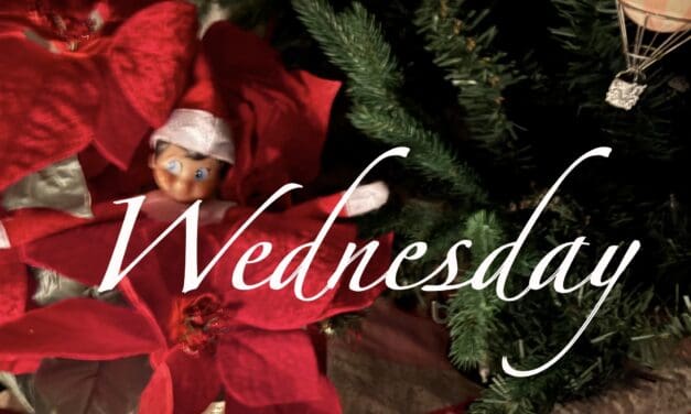 Wisconsin Key Reads | Wednesday, December 18, 2024