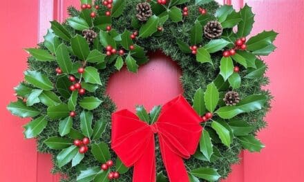 Wisconsin Key Reads | Monday, December 23, 2024