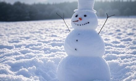 Wisconsin Key Reads | Thursday, December 26, 2024