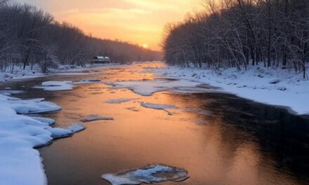 Inland Trout Catch and Release Season Begins January 4th