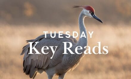 Wisconsin Key Reads | Tuesday, December 10, 2024