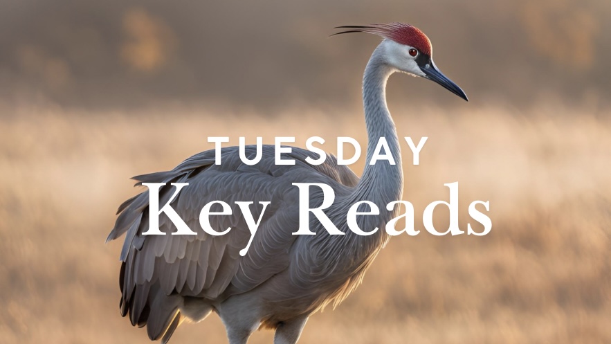 Wisconsin Key Reads | Tuesday, December 10, 2024