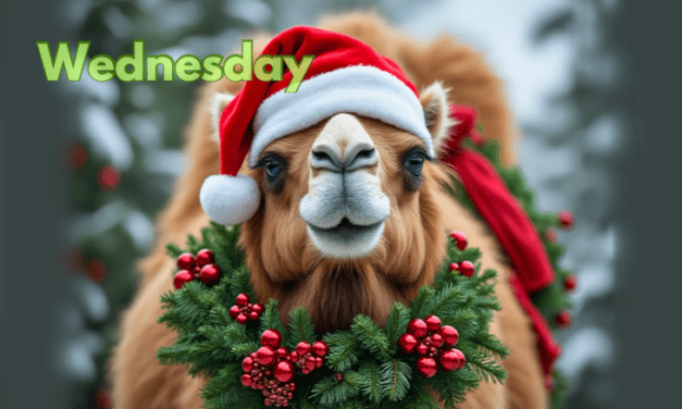 Wisconsin Key Reads | Wednesday, December 4, 2024