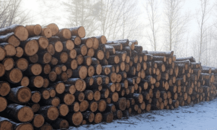 A Look at Wisconsin’s County Forests