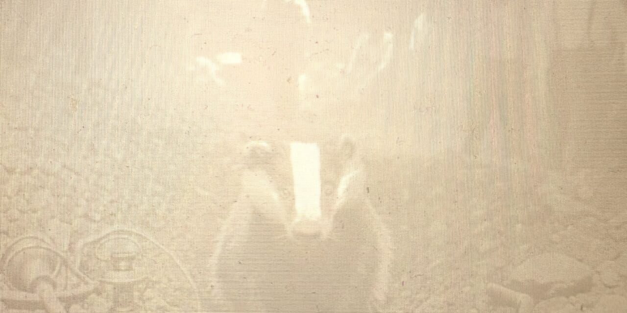 How Wisconsin Residents Became Known As Badgers