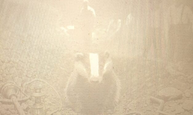 How Wisconsin Residents Became Known As Badgers