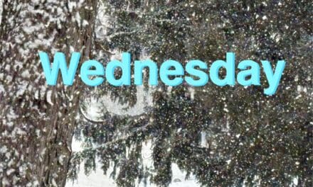 Key Wisconsin Reads | Wednesday, February 12, 2025