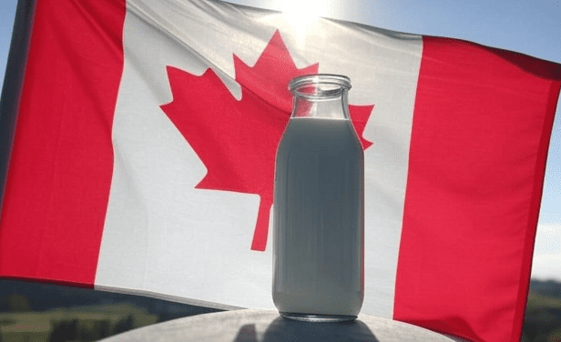 Former Canadian Finance Minister Threatens Wisconsin Dairy Farmers