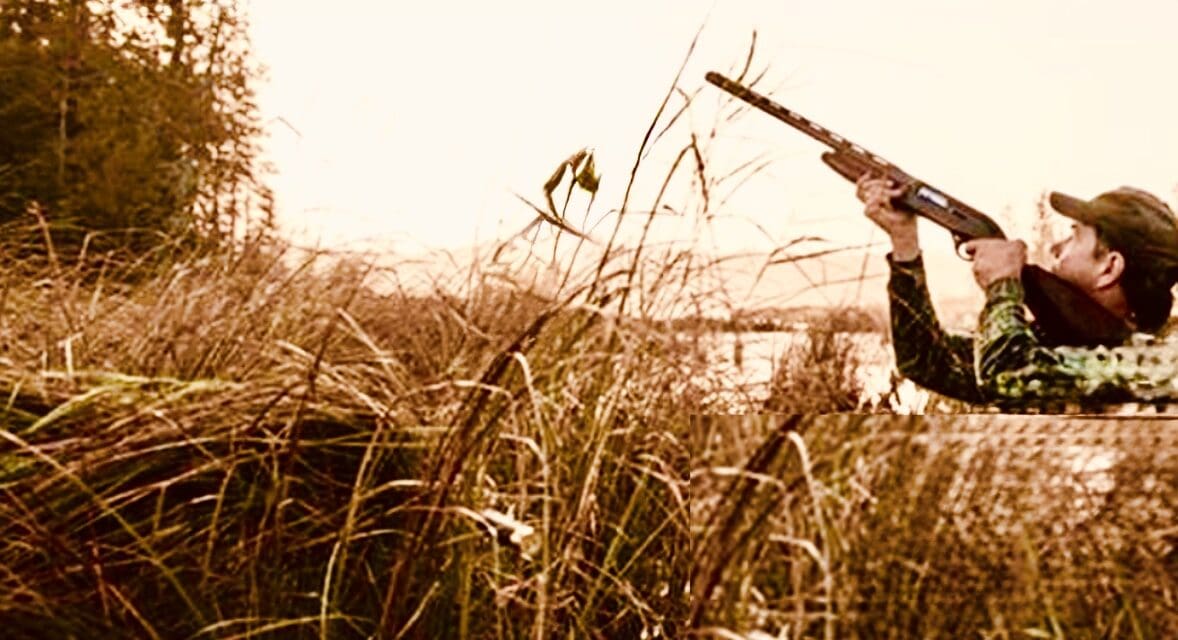 State Seeking Public Input on Duck Hunting Season Zones and Splits Proposals