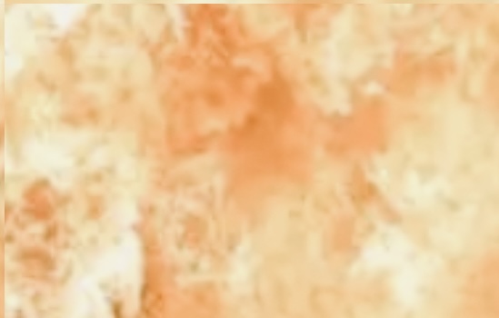 Dear Governor Evers, Please Learn From Mistakes and Ready the National Guard