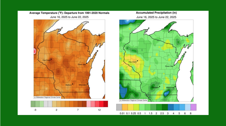 Wisconsin Crop Progress & Condition Report for June 23, 2025