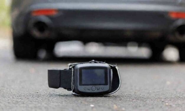 Scandals at DOC Mount