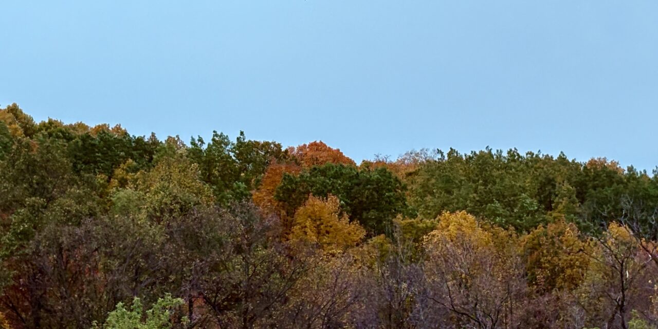 When and Where to See Fall Colors in Wisconsin: 5 Scenic 1-Hour Drives