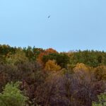 When and Where to See Fall Colors in Wisconsin: 5 Scenic 1-Hour Drives
